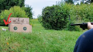 CCI Quiet 22LR Ammo Test Ruger 1022 22 [upl. by Niwre903]