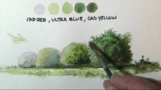 How to paint trees amp bushes in watercolor lessons by Dennis Clark [upl. by Maletta]