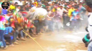 Giddampatti Eruthukattu mass  Krishnagiri Jallikattu Lover  Krishnagiri Eruthukattu Jallikattu [upl. by Refinneg]