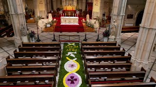 Arundel Cathedral Corpus Christi Carpet Of Flowers 2024 [upl. by Cranford]