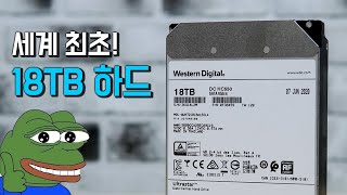 세계 최초 18TB 하드 보셨어요 ㄷㄷㄷㄷ  WD Ultrastar DC HC550 18TB [upl. by Etheline]