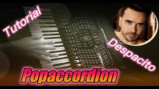 Despacito Luis Fonsi Accordioncover [upl. by Eimirej]