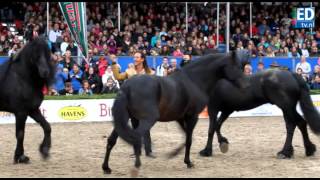 Frédéric Pignon op Horse Event [upl. by Demy189]