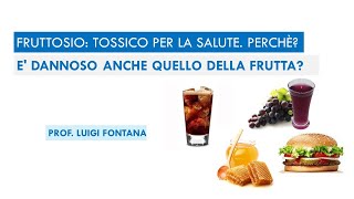 Fruttosio in eccesso tossico per la salute Perchè E dannoso anche quello della frutta [upl. by Chuch]