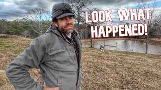 You Wont Believe What Happened To The Pond [upl. by Edita]