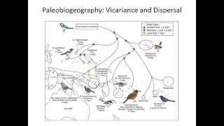 Biogeography vicariance and dispersal [upl. by Inatirb]