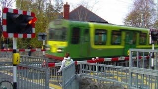 Level Crossing at Sydney Parade [upl. by Trina]