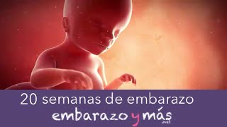 20 semanas de embarazo  Quinto mes  EMBARAZOYMAS [upl. by Malorie]