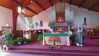 St Thomas More Catholic Church Washington DC Live Stream [upl. by Yelsehc102]