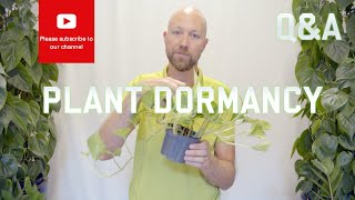 Plant Dormancy  why and how does it work [upl. by Horatia]