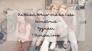 Die Wilden Hühner und die Liebe  Soundtrack  Pygmäen  1 Stunde Loop  smooth transition [upl. by Elnora]