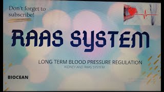 Raas system simplifiedlong term blood pressure regulation [upl. by Nedyaj719]