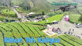 DRONE KEINDAHAN KEBUN TEH DAN TEMPAT WISATA KALIGUA PAGUYANGAN  BREBES [upl. by Kahler]