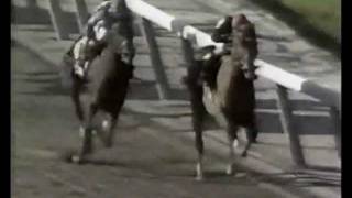 1989 Jockey Club Gold Cup [upl. by Calley]