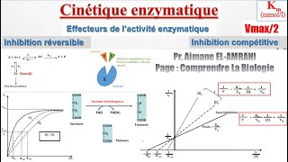 Séance 11  Effecteurs de l’activité enzymatique  Inhibition compétitive [upl. by Aiouqes110]