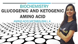 Glucogenic and Ketogenic Amino Acid  Amino Acid Metabolism L 4  Biochemistry Unit 1 [upl. by Havelock]