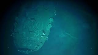 First Visual Survey of IJN Akagi 赤城  Historic Battle of Midway Shipwreck  Nautilus Live [upl. by Arbe]