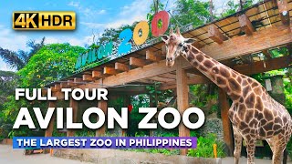 AVILON ZOO Full Tour  WHAT TO SEE Inside the Largest ZOO in the Philippines【4K HDR】 [upl. by Cullie]