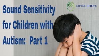 Autism and Sound Sensitivities HyperacusisMisophonia Part 1 [upl. by Naniac]