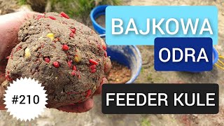 210 BAJKOWA ODRA  FEEDER Z KULAMI 🙂🙂🙂 [upl. by Lad]