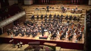 Harry Potter and the Deathly Hallows theme Auckland Symphony Orchestra Alexandre Desplat [upl. by Dibri200]