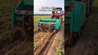 MediumSize Potato Harvester Workingfarming agriculture harvester potatoes mech [upl. by Madelin584]