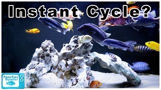 How to Cycle a Fish Tank FAST [upl. by Wendi410]