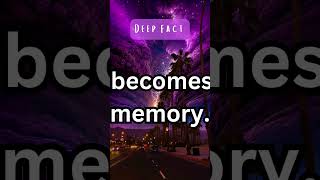 Memory Facts Psychology  Memory Facts 🧠 shorts [upl. by Maia]