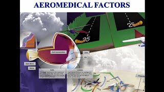 Private Pilot Tutorial 16 Aeromedical Factors Part 1 of 2 [upl. by Just642]