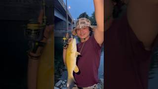 A surprise bass on the okanagan river fishing bassfishing okanagan fishingbc riverfishing bc [upl. by Kassandra]