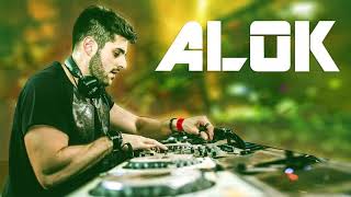 Mix do alok2018 melhores alok quot [upl. by Nynahs196]