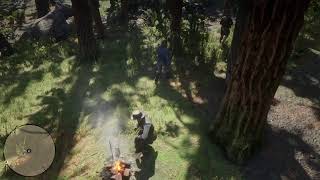 Red Dead Redemption 2 Gang Hideout  Skinner Brothers [upl. by Sousa]