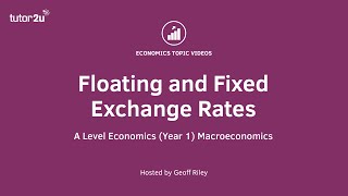 Floating and Fixed Exchange Rates [upl. by Navanod]