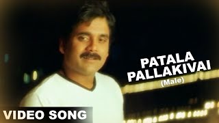 Patala Pallakivai Male Video Song  Nuvvu Vasthavani Movie  Nagarjuna Simran  Volga Musicbox [upl. by Sweatt]