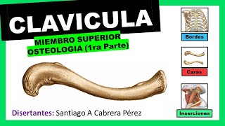 ▌CLAVÍCULA ▌OSTEOLOGIA 1ra Parte ▌MIEMBRO SUPERIOR ▌💀 [upl. by Acinomad]