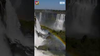 CATARATAS DEL IGUAZU ¡Una maravilla natural en la Selva Paranaense shorts [upl. by Enyt]