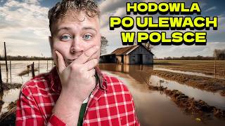 Hodowla PO ULEWACH w Polsce [upl. by Suneya]