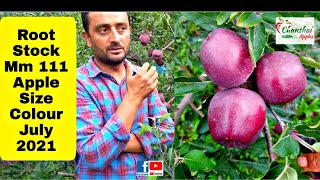 Apple Orchard  Mm 111 Village Thana Ransar valley  Sanjeev Thakur [upl. by Palecek]