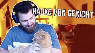 Hauke vor Gericht  Stream Highlights 100718 [upl. by Shirlene682]