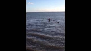 2013 Aberdour Loony Dook  James Lyon and Rory Pyper [upl. by Denten798]