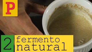 Como fazer fermento natural  Vídeo 2 [upl. by Ocsinarf730]