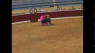 Bullfighting in Spain [upl. by Alorac]