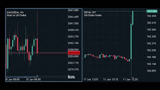 USD CPI mm High Impact Fundamental news 11 Jan 2024 [upl. by Eudocia]