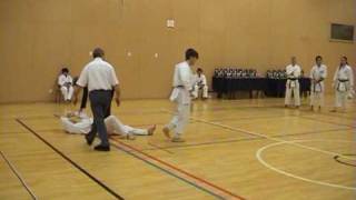 Ippon waza by Andre Bertel Shotokan Karate [upl. by Yht696]