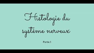 histologie du système nerveux partie 1 [upl. by Zebedee]