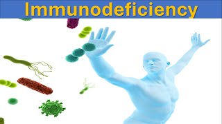 Understanding Immunodeficiency Causes Types and Treatments  Immune System [upl. by Bevash]