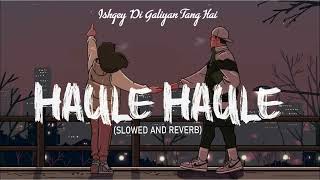 Ishqey Di Galiyan Tang Hai  Slowed amp Reverb  Haule Haule Slowed amp Reverb [upl. by Kimmi]