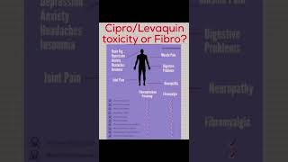 Cipro antibiotic toxicity or fibromyalgia [upl. by Vallonia]