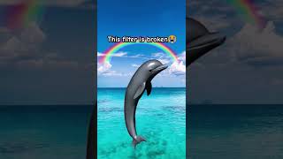 This filter is broken dolphin afterefects edit aftereffects whale orca ocean trendin roblox [upl. by Eahsel292]