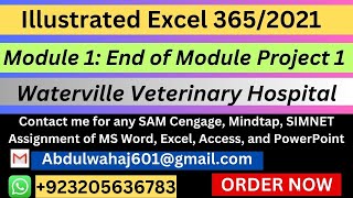 Illustrated Excel 3652021 Module 1 End of Module Project 1 Waterville Veterinary Hospital [upl. by Ilanos]